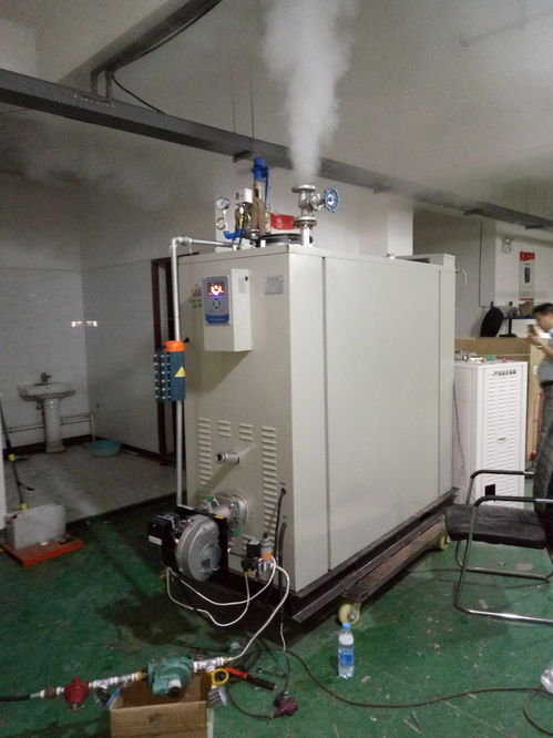 大兴安岭豆制品生产优选 如何挑选高品质蒸汽发生器？